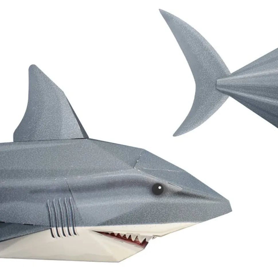 Create Your Own Snappy Shark