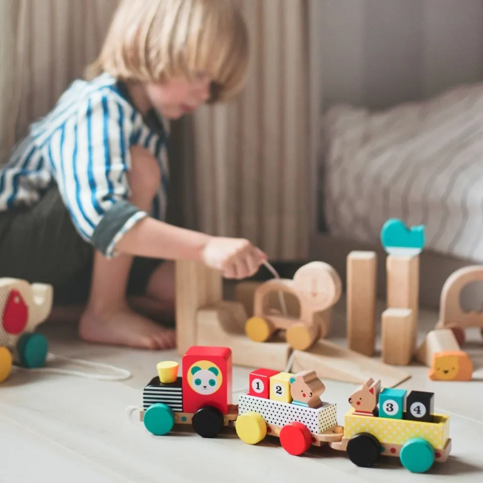 Wooden Pull Along Train