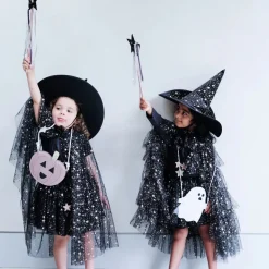 Aurora Witch Hat