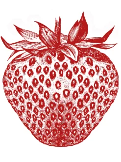 Calliope Tee - Strawberry
