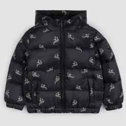 Dragon Print on Black Hooded Packable