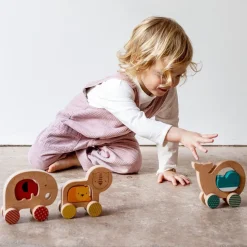 Wooden Push Along Whale Toy